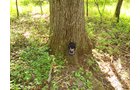 Property photo 7 - 72 Acres offered in 6 Tracts